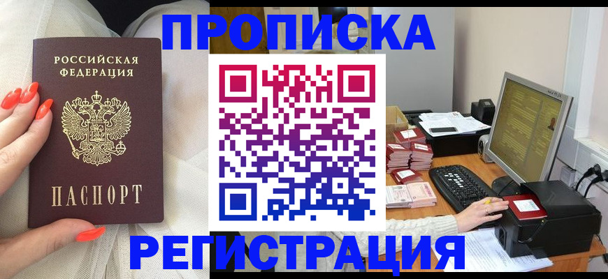 временная регистрация поиск в Александрове